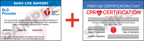 Sample American Heart Association AHA BLS CPR Card Certification and First Aid Certification Card from CPR Certification Denver
