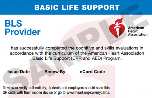 Sample American Heart Association AHA BLS CPR Card Certification from CPR Certification Denver